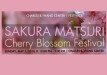 cherry Blossom festival